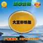 现货供应优质食品级大豆卵磷脂  磷脂 磷脂酰胆碱 粉末磷脂